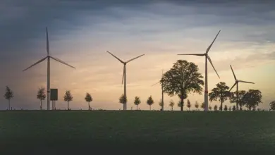 Větrné elektrárny stojí na poli u stromů při západu slunce.