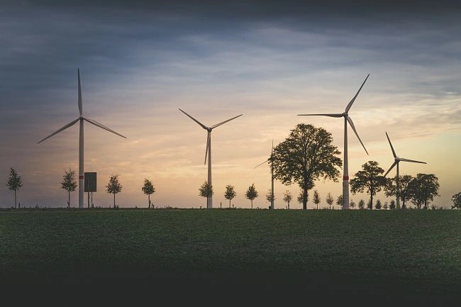 Větrné elektrárny stojí na poli u stromů při západu slunce.