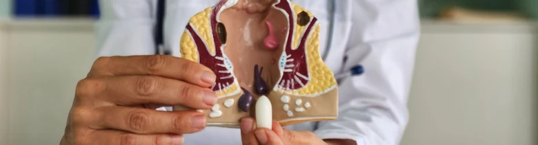 Lékař drží anatomický model konečníku pro vysvětlení příznaků.
