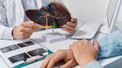 Lékař ukazuje pacientovi model jater s vysvětlením jeho funkcí.