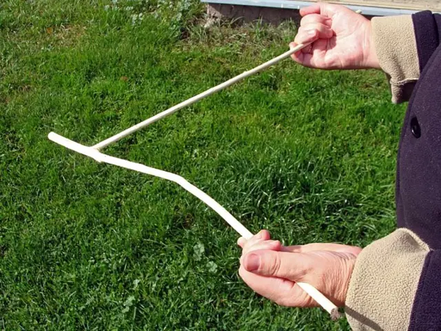 Ruce drží proutek pro hledání vody na trávníku.