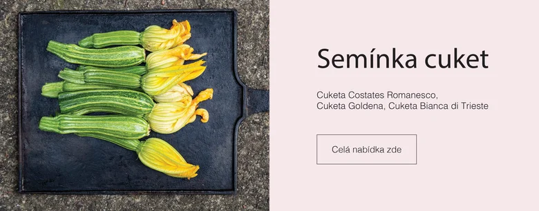 Čerstvé cukety s květy na tmavém podnosu.