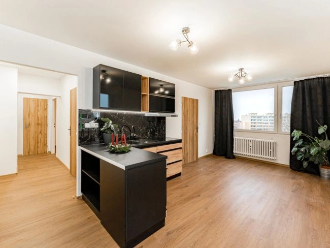Modern apartment interior with kitchen island and living are